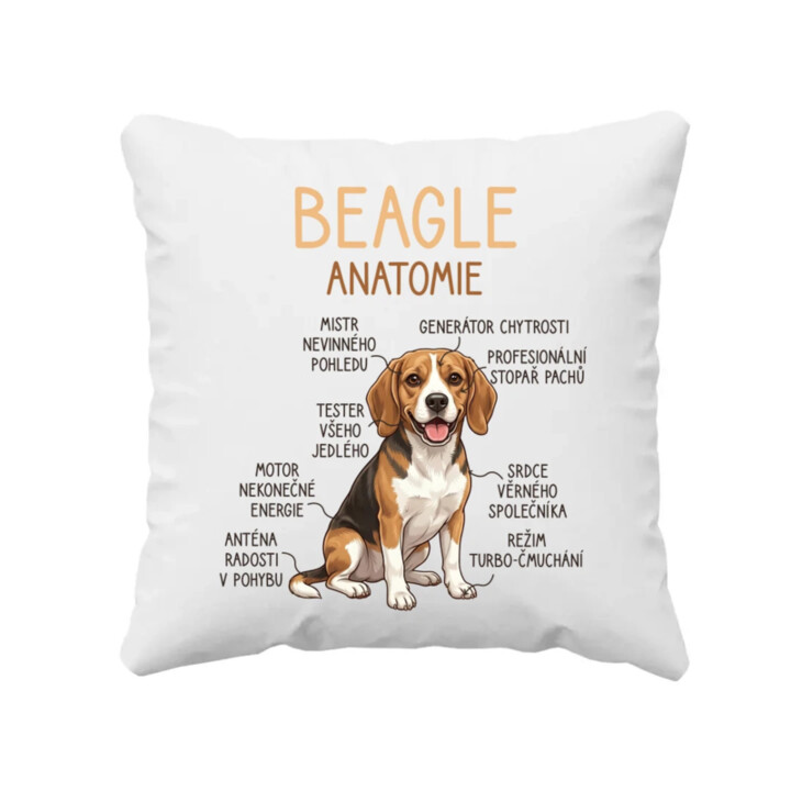 Beagle – anatomie - polštář s potiskem