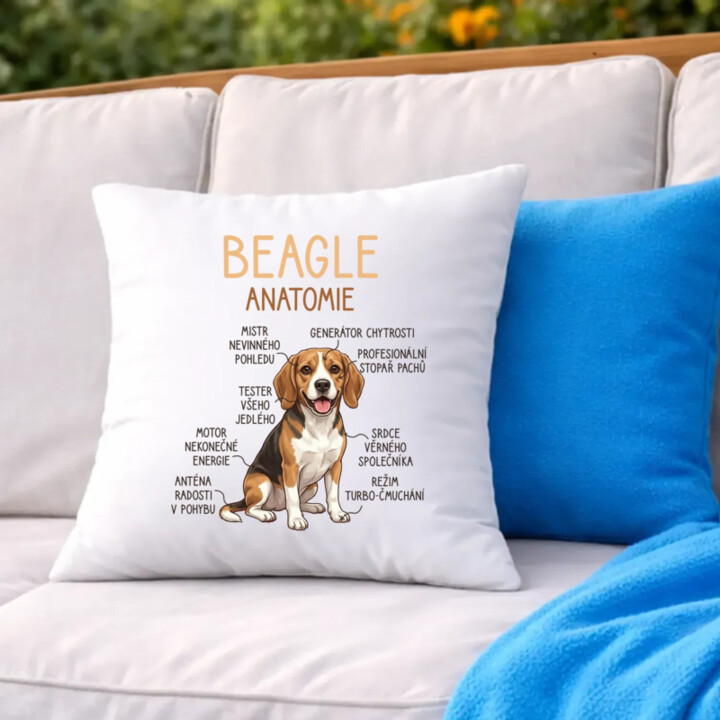 Beagle – anatomie - polštář s potiskem