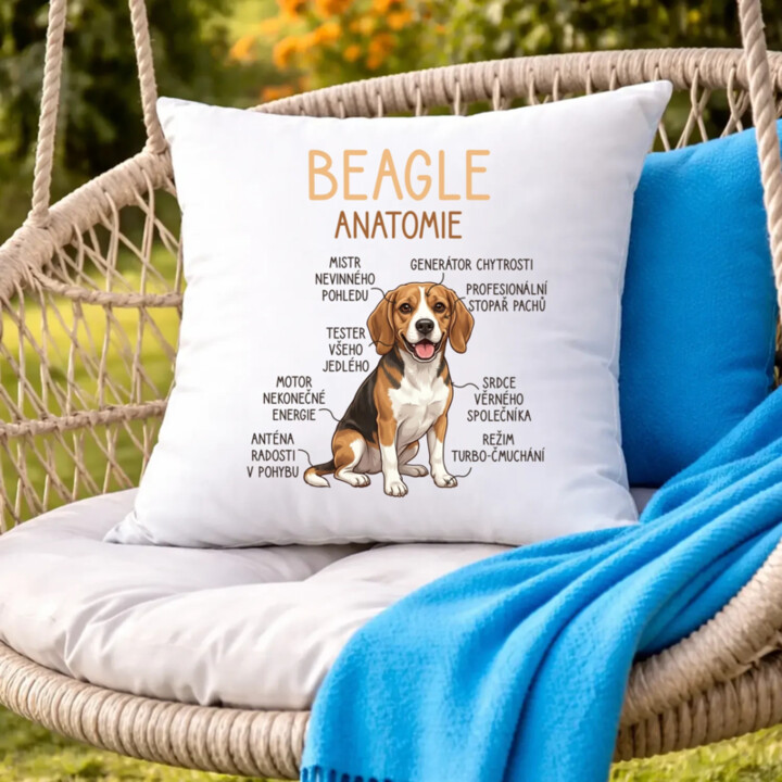Beagle – anatomie - polštář s potiskem