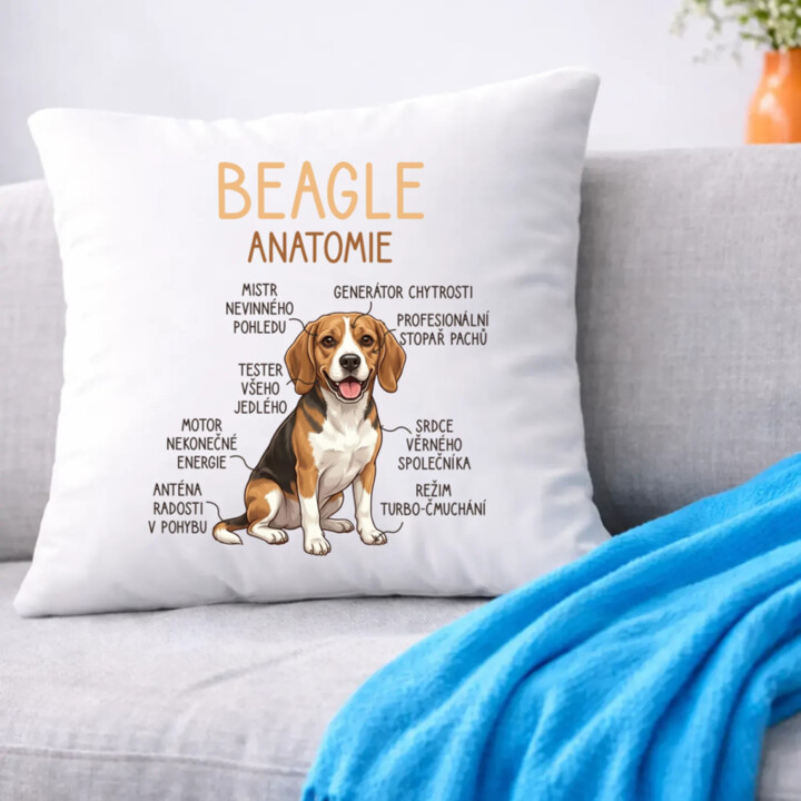 Beagle – anatomie - polštář s potiskem
