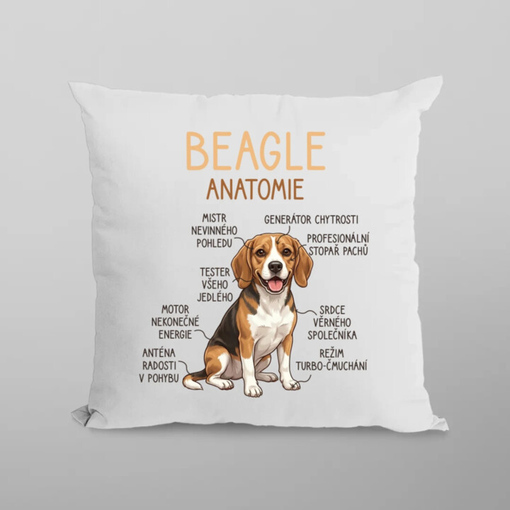 Beagle – anatomie - polštář s potiskem