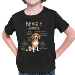 Beagle – anatomie - dětské tričko s potiskem