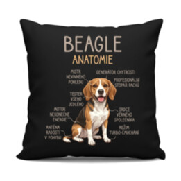 Beagle – anatomie - černý polštář s potiskem