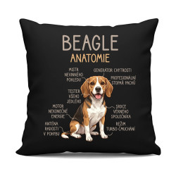 Beagle – anatomie - černý polštář s potiskem
