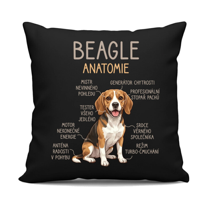 Beagle – anatomie - černý polštář s potiskem