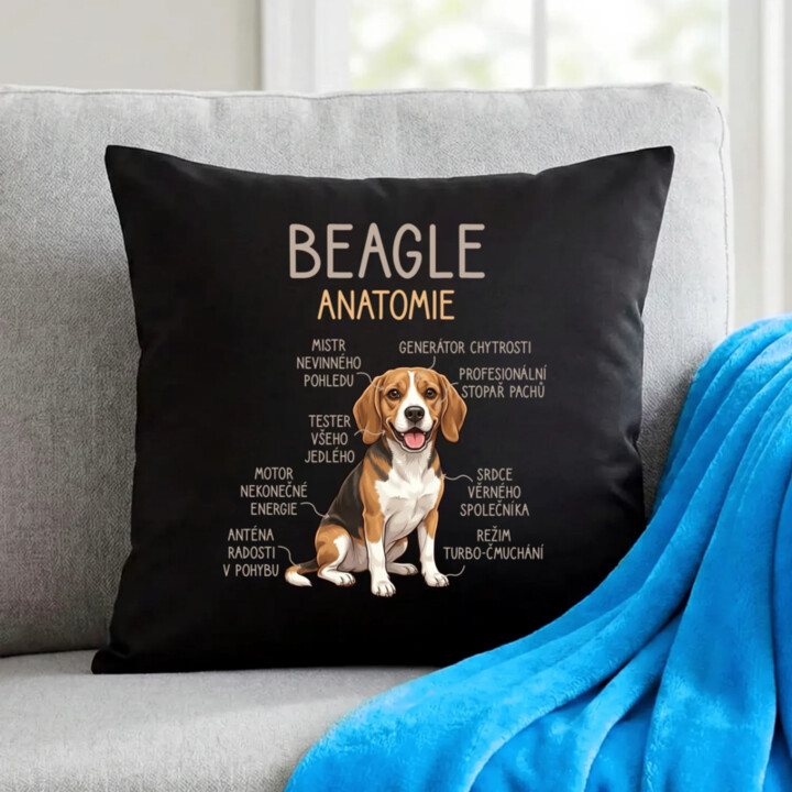 Beagle – anatomie - černý polštář s potiskem