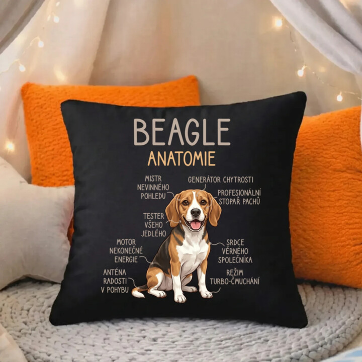 Beagle – anatomie - černý polštář s potiskem