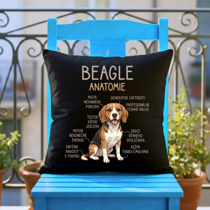 Beagle – anatomie - černý polštář s potiskem