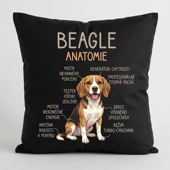 Beagle – anatomie - černý polštář s potiskem