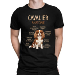 Cavalier – anatomie - pánské tričko s potiskem