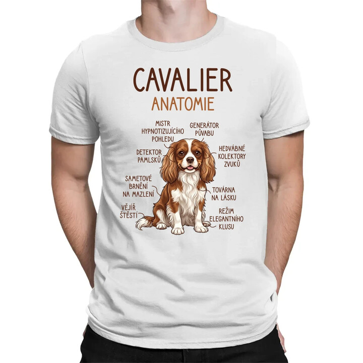 Cavalier - anatomie - pánské tričko s potiskem