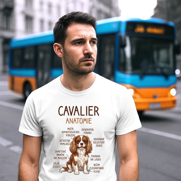 Cavalier - anatomie - pánské tričko s potiskem