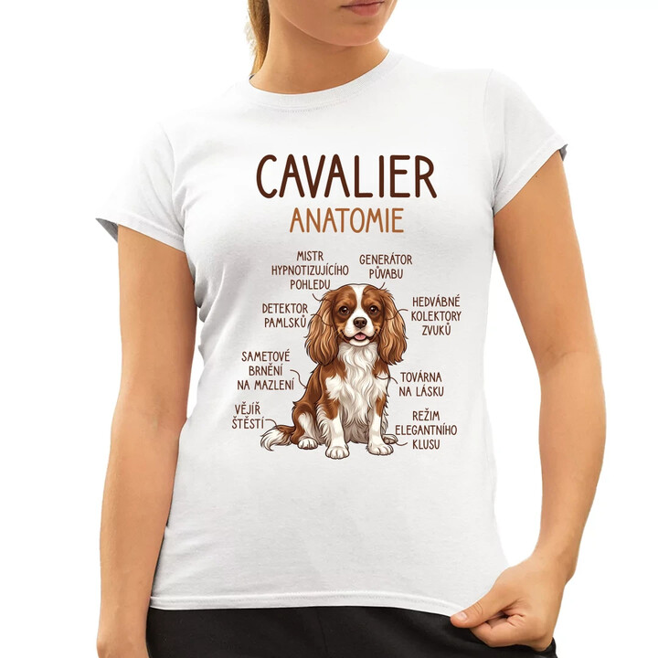 Cavalier - anatomie  - dámské tričko s potiskem