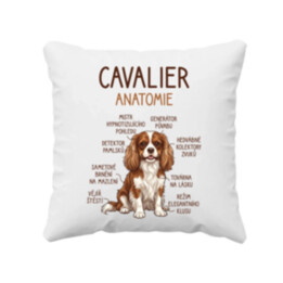 Cavalier – anatomie - polštář s potiskem