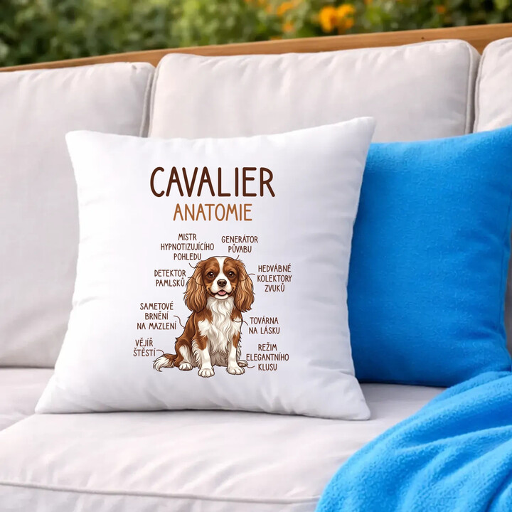 Cavalier - anatomie - polštář s potiskem
