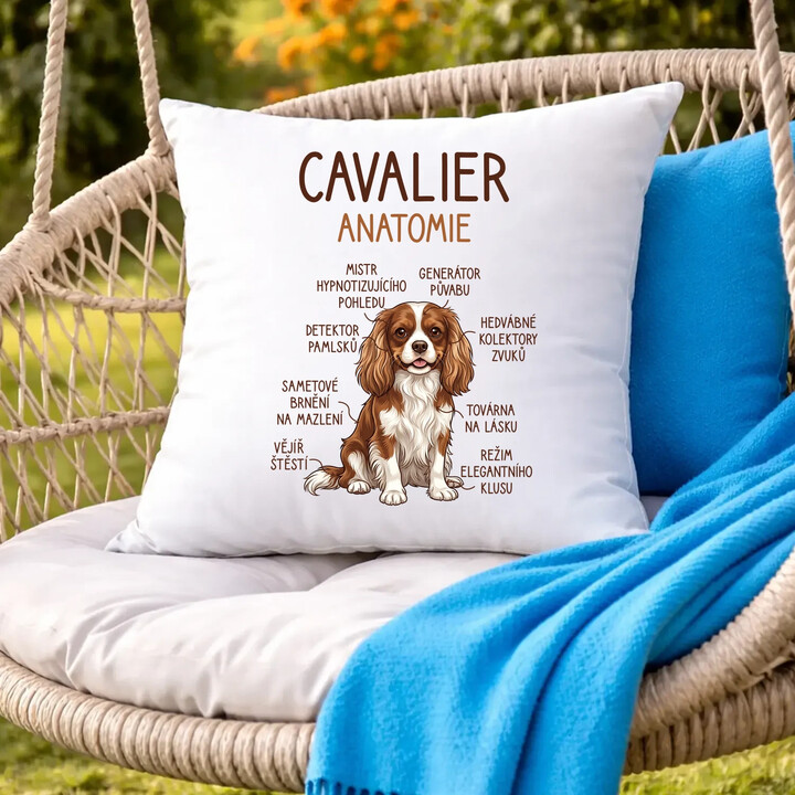 Cavalier - anatomie - polštář s potiskem