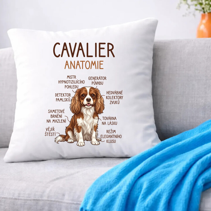 Cavalier - anatomie - polštář s potiskem