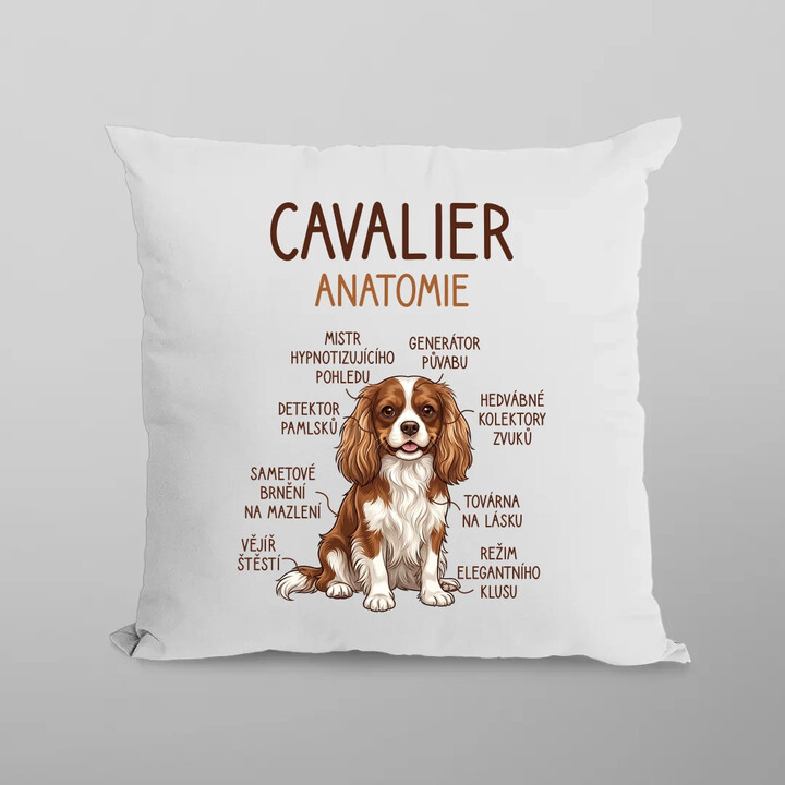 Cavalier - anatomie - polštář s potiskem