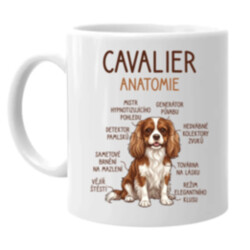Cavalier – anatomie - hrnek s potiskem