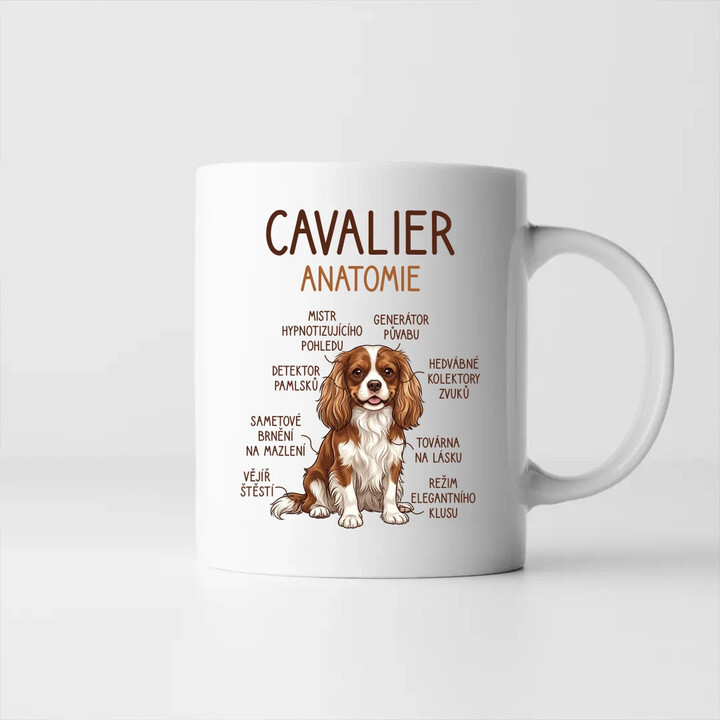 Cavalier - anatomie - hrnek s potiskem