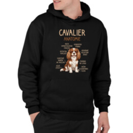 Cavalier – anatomie - pánská mikina s potiskem