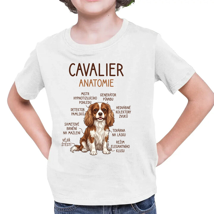 Cavalier - anatomie - dětské tričko s potiskem