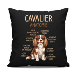 Cavalier – anatomie - černý polštář s potiskem