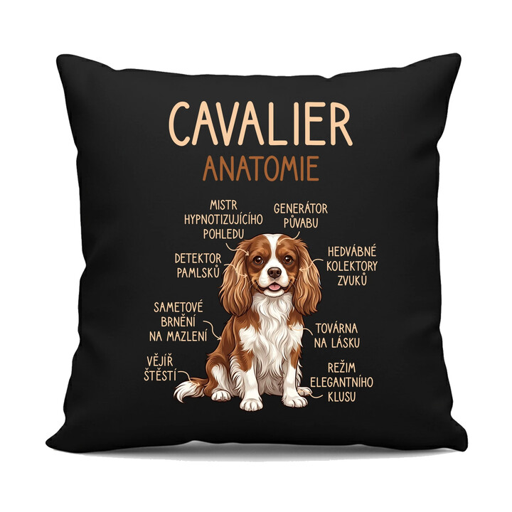 Cavalier - anatomie - černý polštář s potiskem
