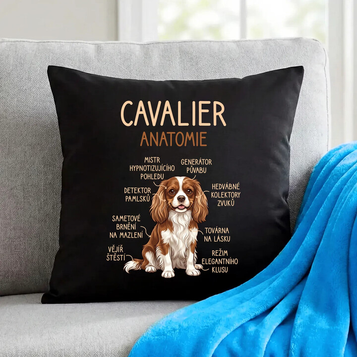 Cavalier - anatomie - černý polštář s potiskem