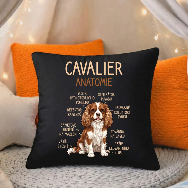 Cavalier - anatomie - černý polštář s potiskem
