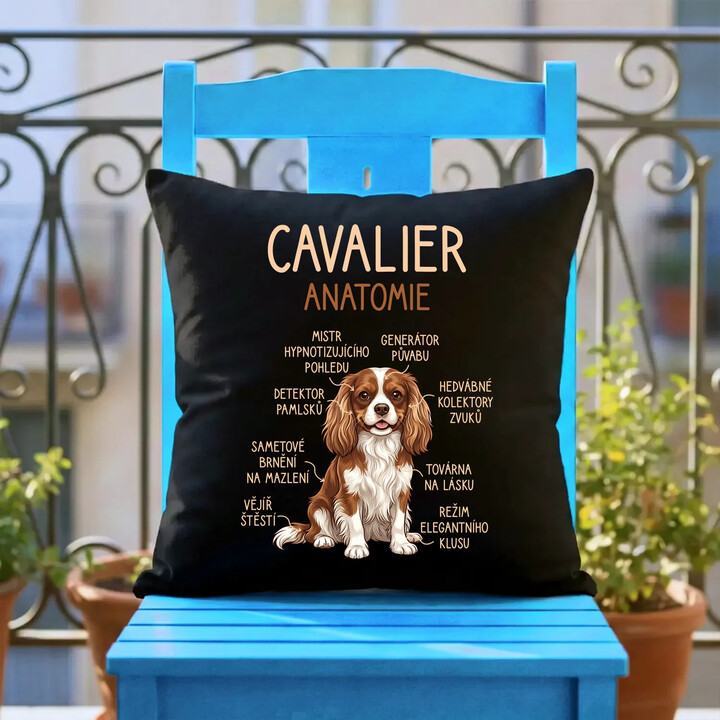 Cavalier - anatomie - černý polštář s potiskem