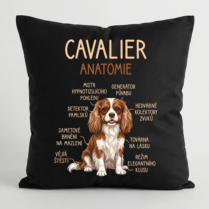 Cavalier - anatomie - černý polštář s potiskem