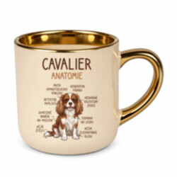 Cavalier – anatomie – Elegantní hrnek na dárek