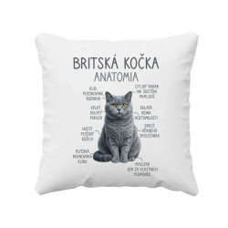 Britská kočka – anatomie - polštář s potiskem