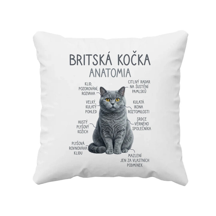 Britská kočka - anatomie - polštář s potiskem