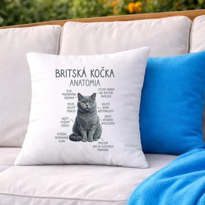 Britská kočka - anatomie - polštář s potiskem