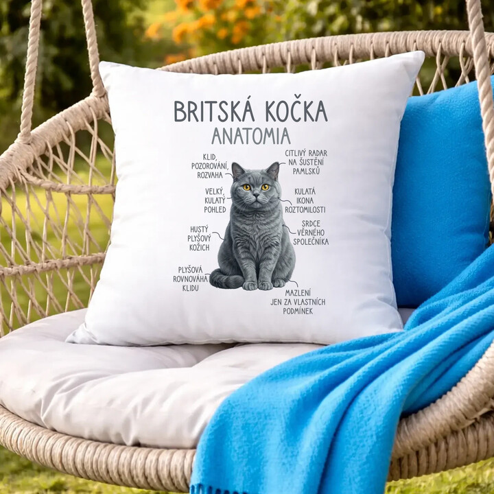 Britská kočka - anatomie - polštář s potiskem