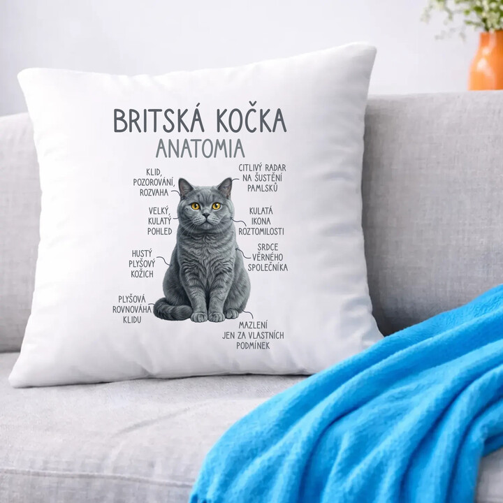 Britská kočka - anatomie - polštář s potiskem