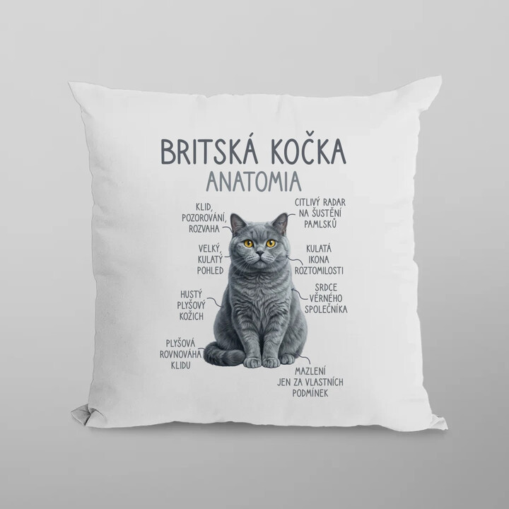 Britská kočka - anatomie - polštář s potiskem