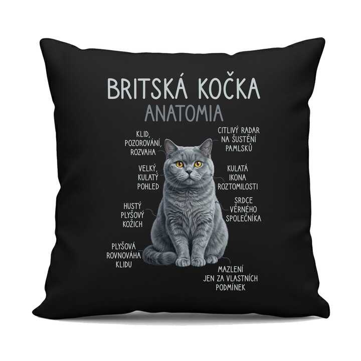 Britská kočka - anatomie - černý polštář s potiskem