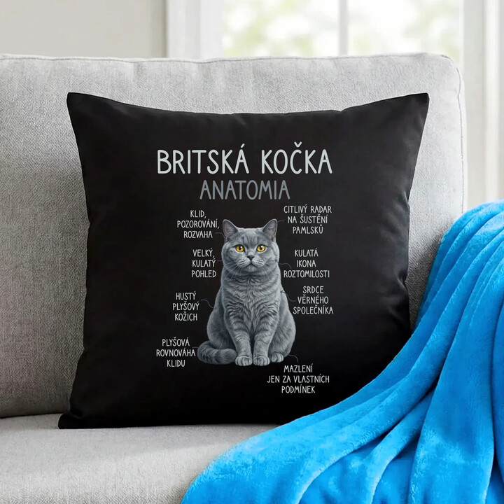 Britská kočka - anatomie - černý polštář s potiskem