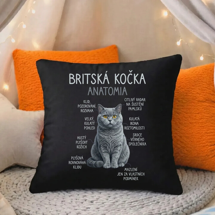 Britská kočka - anatomie - černý polštář s potiskem