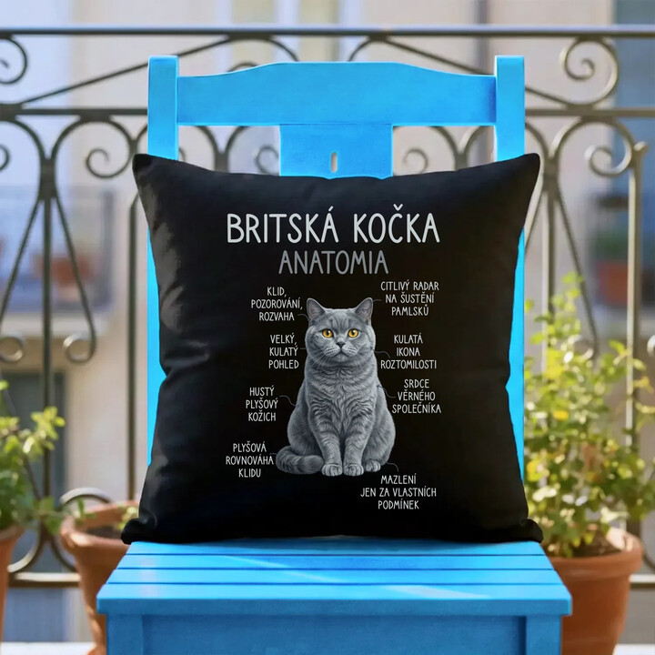 Britská kočka - anatomie - černý polštář s potiskem