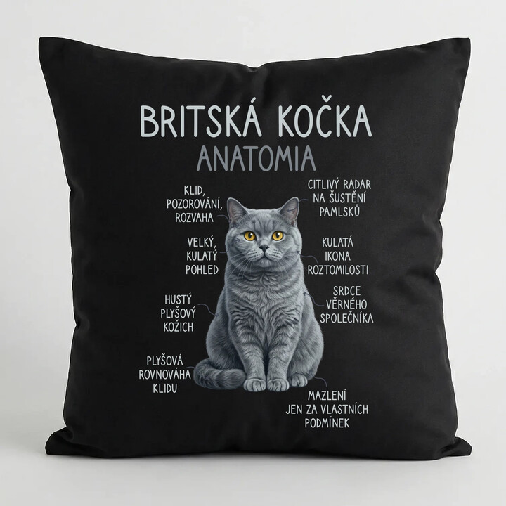 Britská kočka - anatomie - černý polštář s potiskem