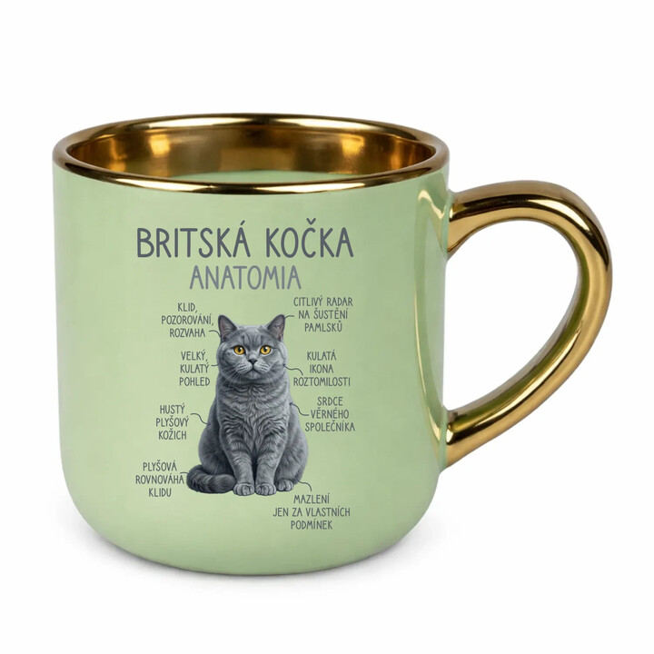 Britská kočka - anatomie - Elegantní hrnek na dárek
