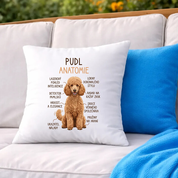Pudl - anatomie - polštář s potiskem