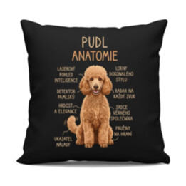Pudl – anatomie - černý polštář s potiskem