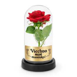 Všechno krásné, maminko!  - věčná růže pod skleněným poklopem s gravírováním