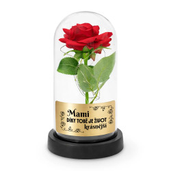 Mami, díky tobě je život krásnější - věčná růže pod skleněným poklopem s gravírováním