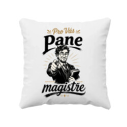 Pro Vás, pane magistře - polštář s potiskem